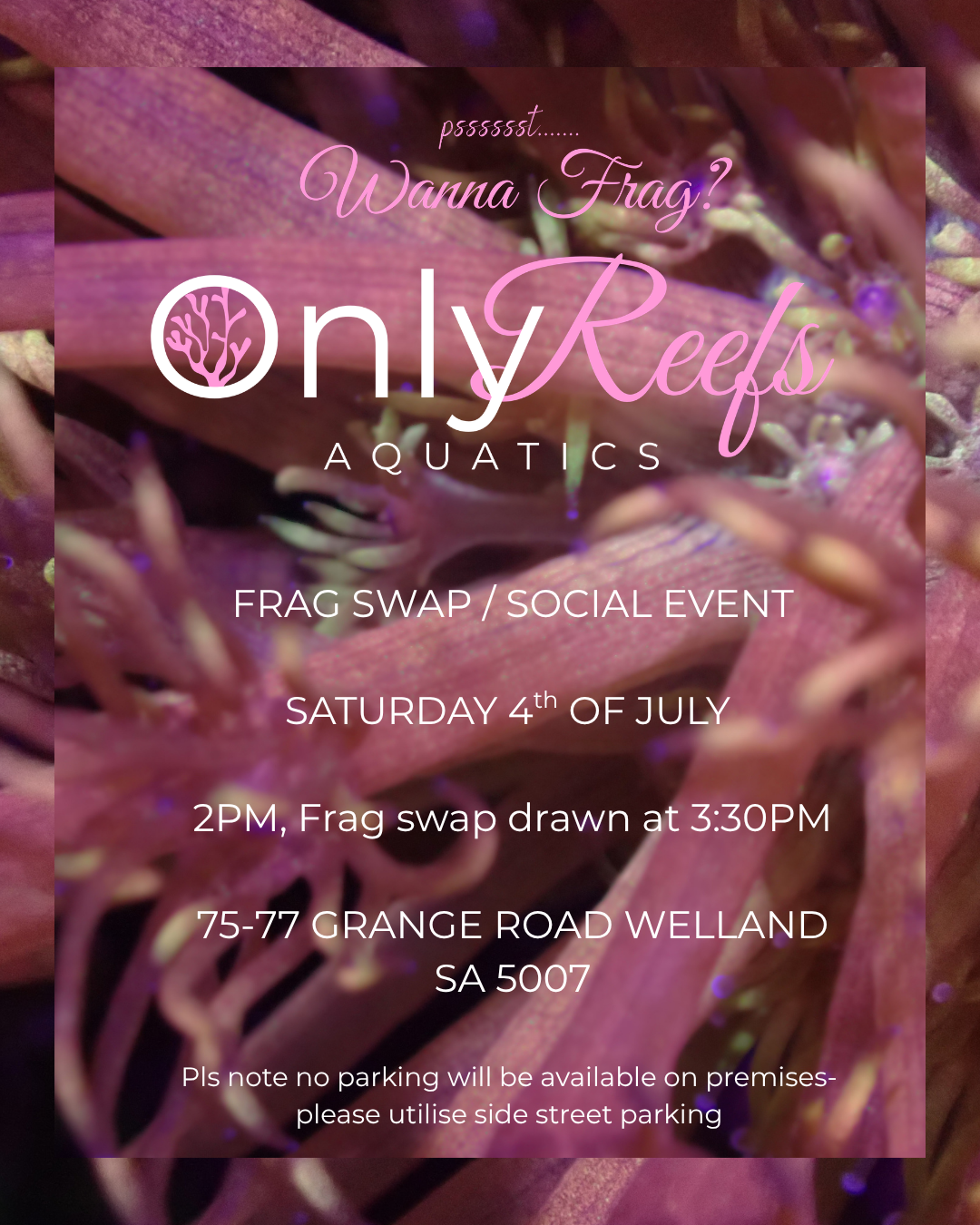 ORA Adelaide Frag Swap Raffle Tickets - 5 for $10