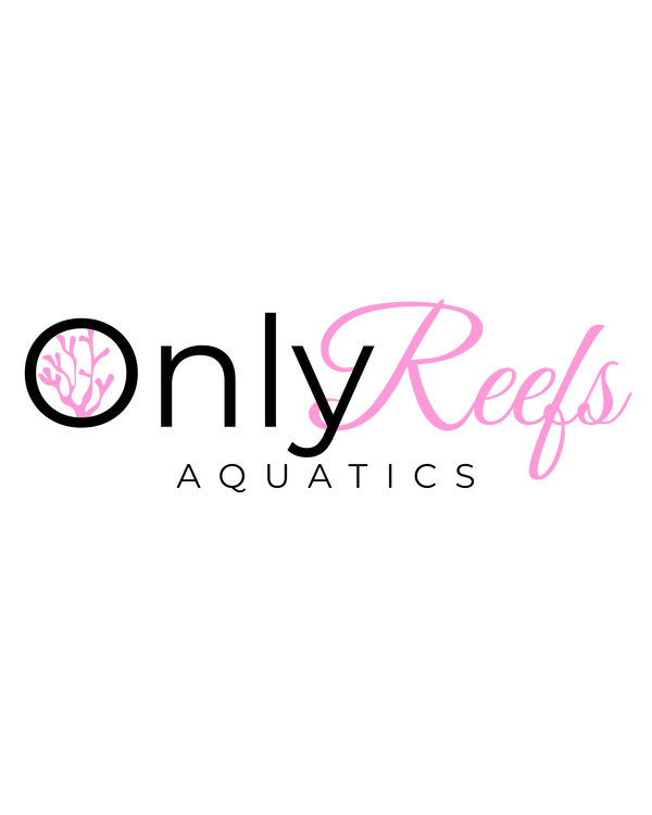Only Reefs Aquatics